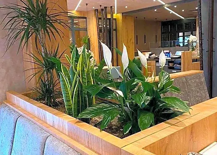Hotel Rindocks *